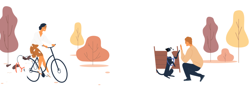 bg_m