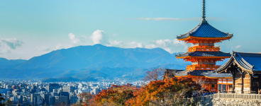 指定航空